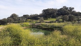 Land for sale in Fundão, Portugal — €120,000
