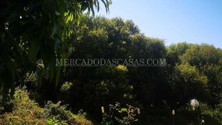 Terreno para venda em Oleiros, Portugal — 65 000 €