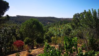 Land for sale in Abrantes, Portugal — €45,000