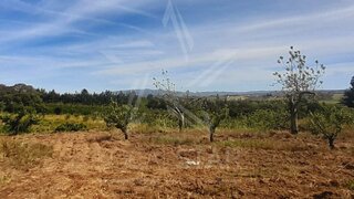 Terreno para venda em Bombarral, Portugal — 125 000 €