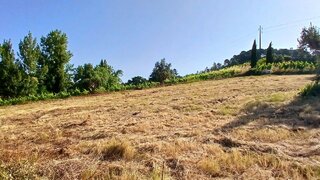 Land for sale in Torres Novas, Portugal — €5,000