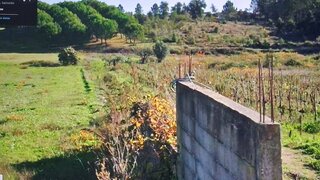 Land for sale in Almeirim, Portugal — €20,000