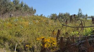 Terreno · 8500 m² · 2000 €