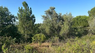 Land for sale in Cartaxo, Portugal — €61,000
