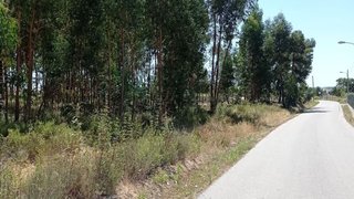 Land for sale in Mação, Portugal — €40,000