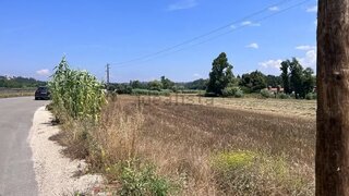Terreno de 12 500 m² em Leiria