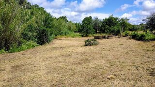Terreno em Idanha-a-Nova