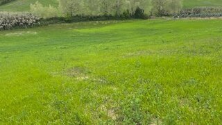 Terreno de 24 160 m² em Santarém