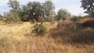 Land for sale in Penamacor, Portugal — €20,000