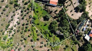 Terreno de 6800 m² em Castelo Branco