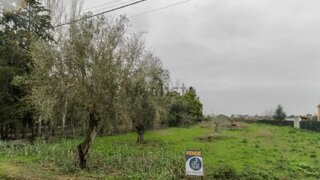 Land for sale in Santarém, Portugal — €42,000