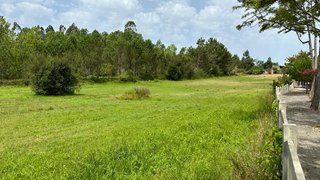 Terreno de 7816 m² em Leiria