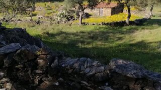 Land for sale in Penamacor, Portugal — €6,500