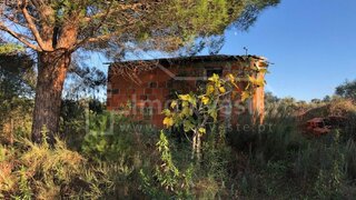 Terreno de 3200 m² em Castelo Branco