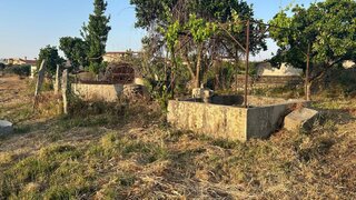 Terreno de 6000 m² em Castelo Branco