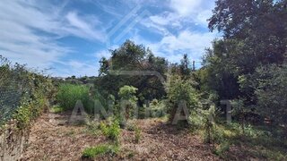 Land for sale in Alcobaça, Portugal — €87,500