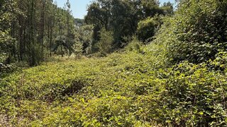 Terreno de 1500 m² em Leiria