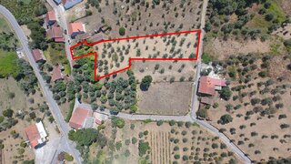 Land for sale in Tomar, Portugal — €30,000