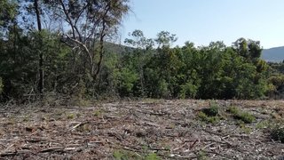 Land for sale in Fundão, Portugal — €10,000