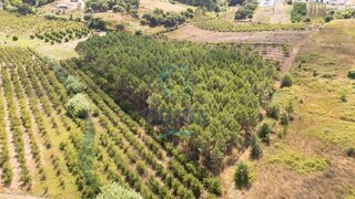 Terreno em Bombarral