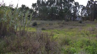 Land for sale in Caldas da Rainha, Portugal — €875,000