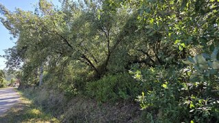Land for sale in Ferreira do Zêzere, Portugal — €7,500