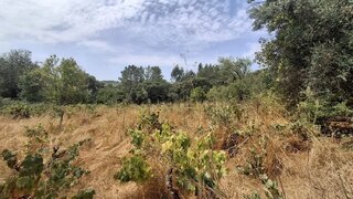 Land for sale in Alvaiázere, Portugal — €25,000
