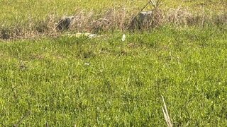 Land for sale in Salvaterra de Magos, Portugal — €65,000