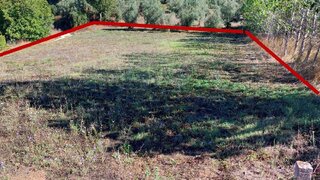 Land for sale in Sertã, Portugal — €29,500