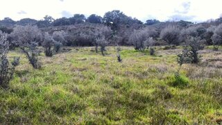 Land for sale in Idanha-a-Nova, Portugal — €27,500