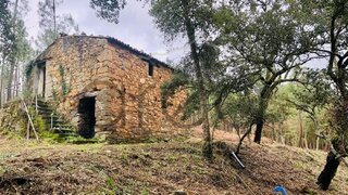 Land for sale in Sertã, Portugal — €50,000