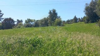 Land for sale in Tomar, Portugal — €15,000