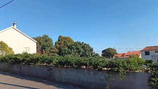 Terreno de 1155 m² em Castelo Branco