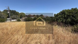 Terreno de 568 m² em Santarém