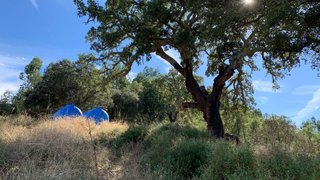 Land for sale in Idanha-a-Nova, Portugal — €185,000