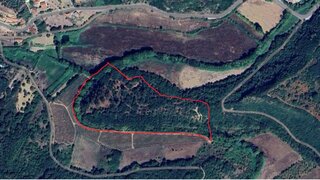 Terreno de 36 000 m² em Santarém