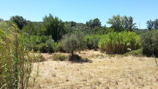 Land for sale in Sardoal, Portugal — €12,950