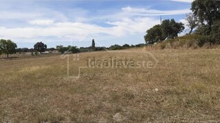 Terreno de 30 700 m² em Castelo Branco