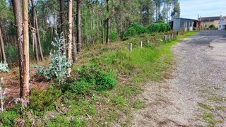 Terreno de 2670 m² em Leiria