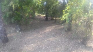 Land for sale in Ferreira do Zêzere, Portugal — €8,000