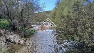Land for sale in Castelo Branco, Portugal — €15,000