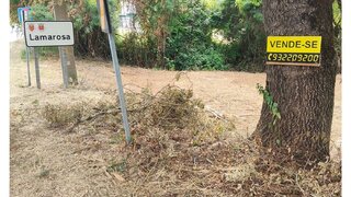 Land for sale in Torres Novas, Portugal — €20,000