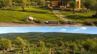 Land for sale in Torres Novas, Portugal — €21,500