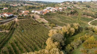 Land for sale in Alcobaça, Portugal — €30,000