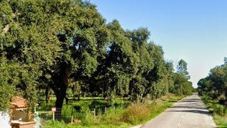 Land for sale in Almeirim, Portugal — €900,000