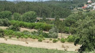 Terreno de 469 m² em Leiria