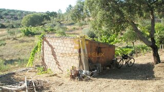 Terreno de 2306 m² em Castelo Branco