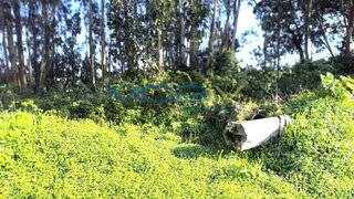 Land for sale in Óbidos, Portugal — €45,000