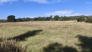 Terreno de 38 500 m² em Castelo Branco