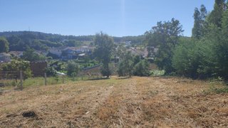 Land for sale in Figueiró dos Vinhos, Portugal — €9,500
